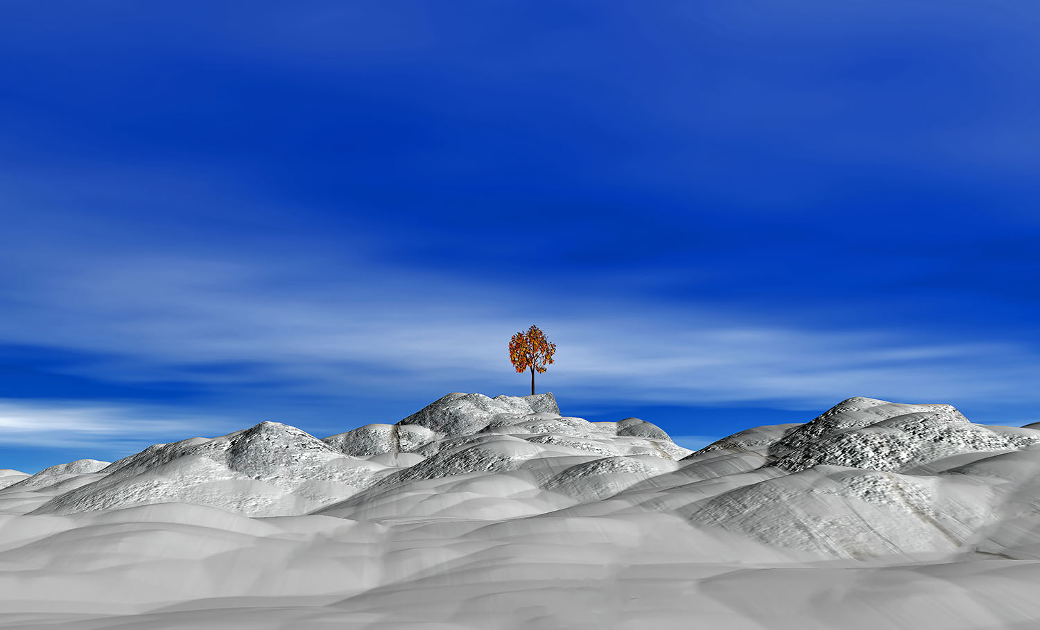 Colours of Winter - made with Carrara