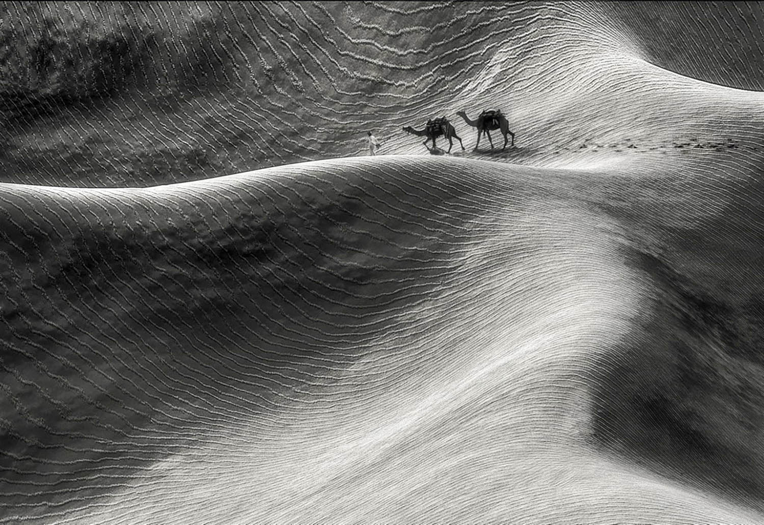 Desert Ships – made with Carrara