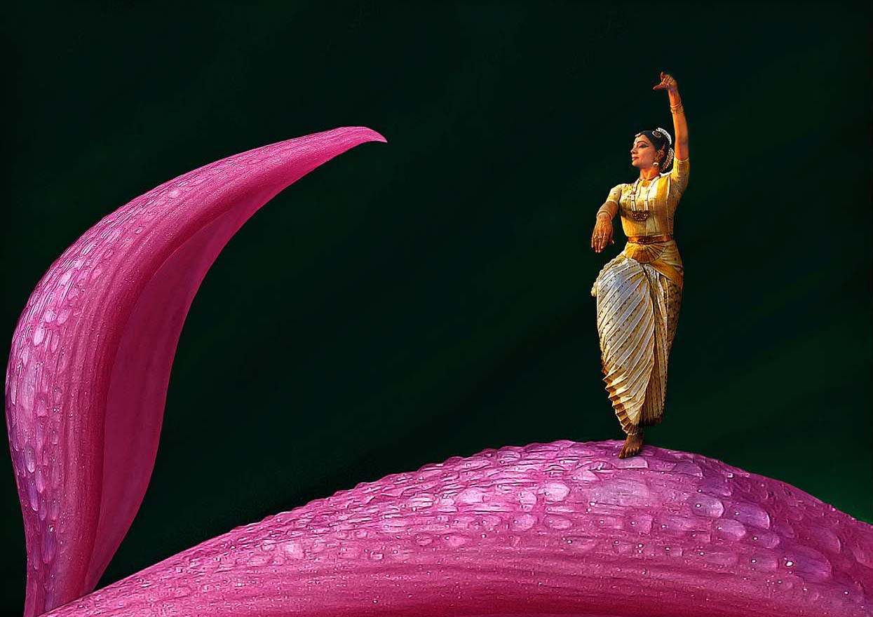 In Harmony With Nature - Awarded