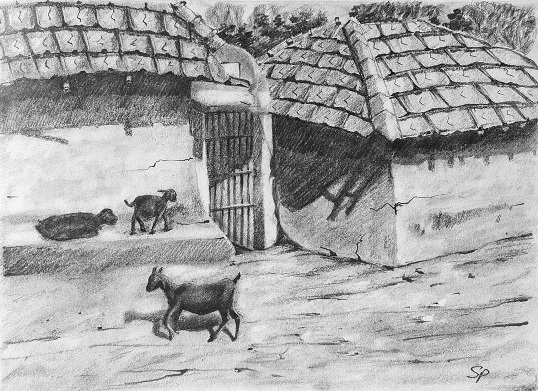 Pencil Sketch - Village Life 1