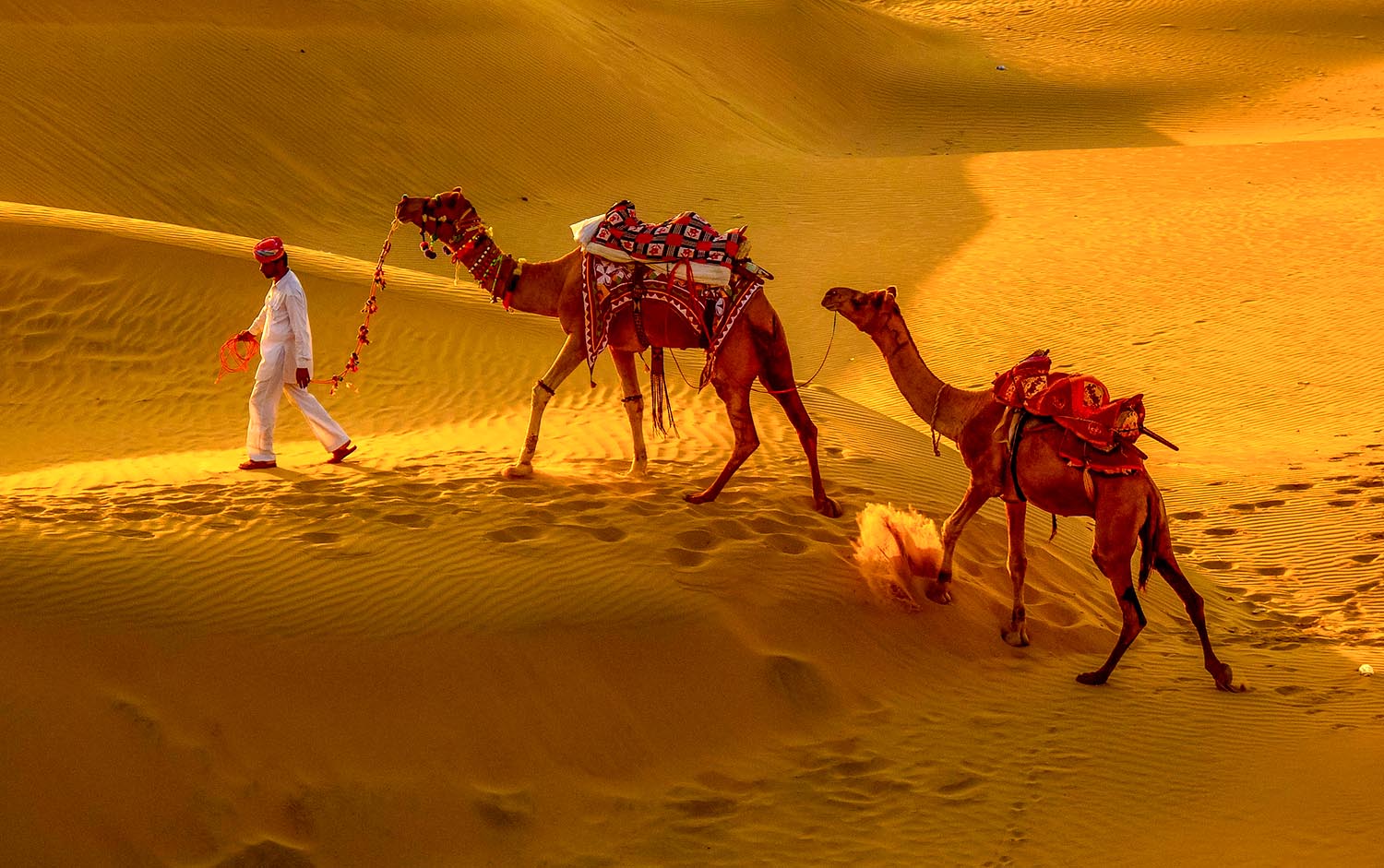 Sandy Journey - Shortlisted