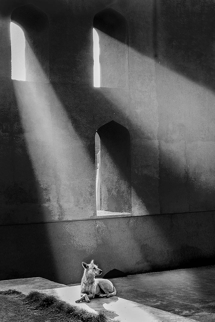 Sunbathing - Awarded