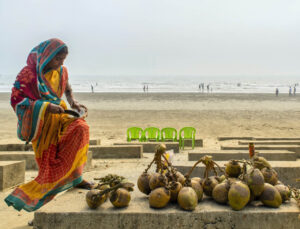 The Coconut Seller - Shortlisted
