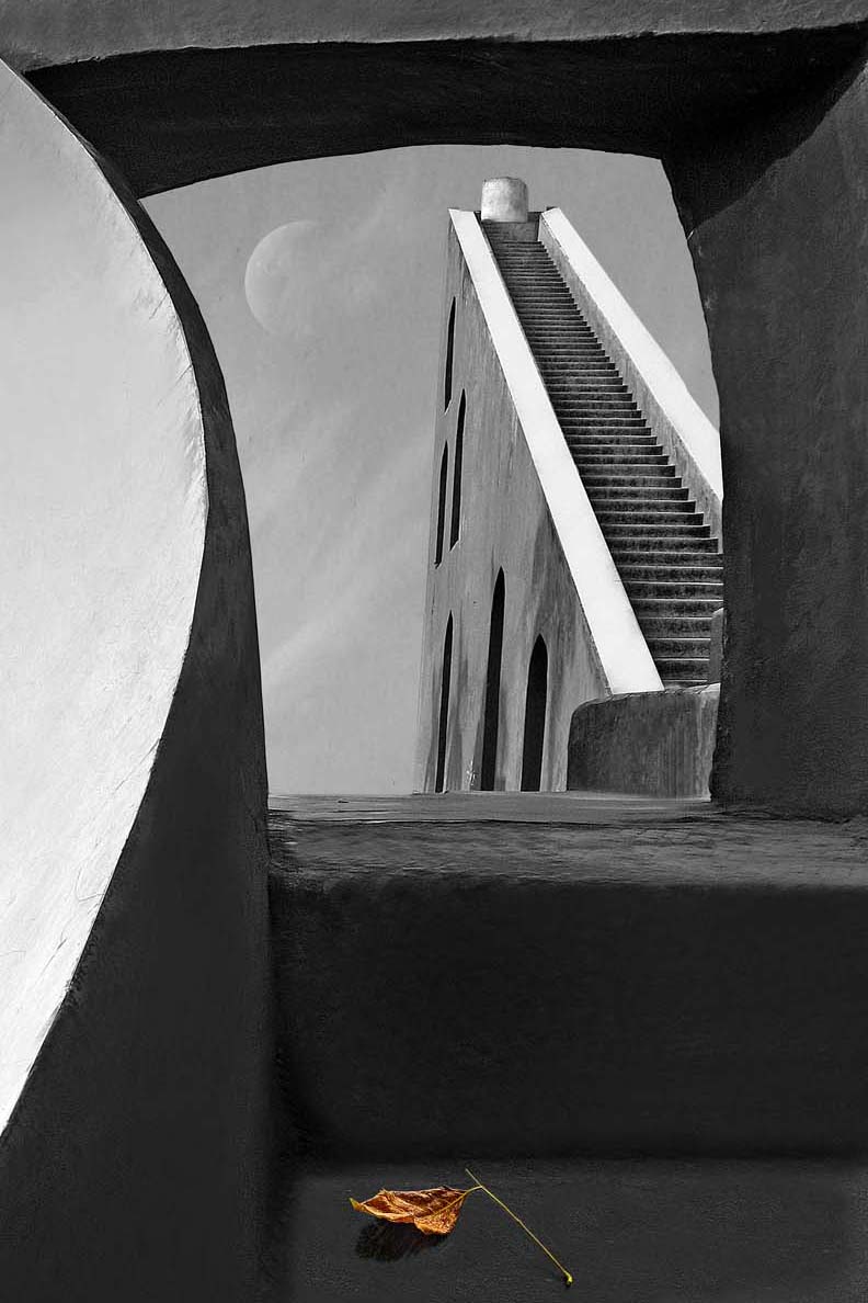 The Last Leaf - Awarded